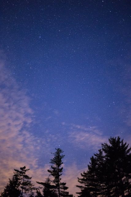 Night Sky with Starry Clouds Over Forest - Download Free Stock Photos Pikwizard.com