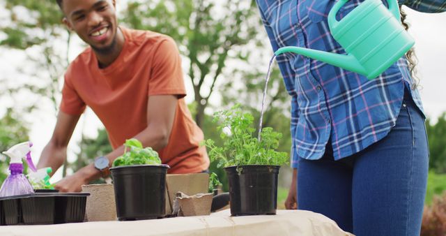 Happy african american couple planting and watering herbs in backyard. Lifestyle, relationship, spending free time together concept.