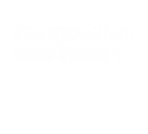 Transparent Text Question in German Sie Sprechen Deutsch - Download Free Stock Videos Pikwizard.com