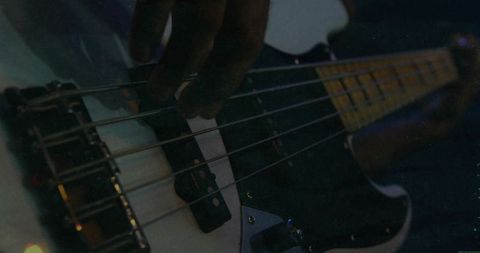 Musician Performing on Bass Guitar in Dim Stage Light