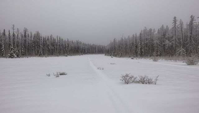 Leading snow-covered frozen waterway cutting through taiga forest beneath gray overcast sky