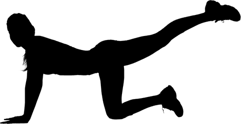 silhouette of woman exercising on transparent png background - Download Free Stock Videos Pikwizard.com