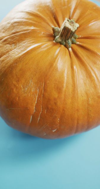 Close-Up of Large Halloween Pumpkin on Blue Background - Download Free Stock Images Pikwizard.com