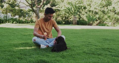 Young man playing with puppy on backyard lawn holding brush and bandana, outdoor bonding