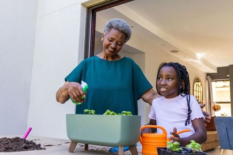 Senior african grandmother misting seedlings while granddaughter watering planter on sunny doorstep