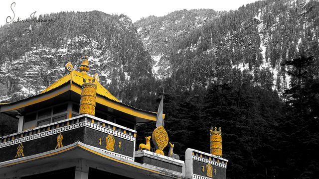 Buddhist temple with yellow and gold roof standing against snow-covered mountain backdrop during winter. Traditional design marked by ornate decorations. Snow-dusted trees in surrounding landscape. Ideal for themes focusing on religion, spirituality, travel, culture, and tranquility. Useful in articles or campaigns highlighting mystical and serene aspects of remote locations.