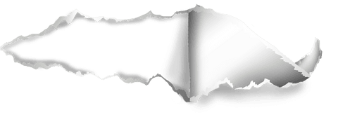 Realistic torn paper edge curls with transparent background