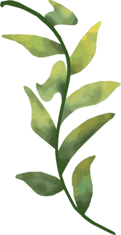 stylized leafy branch with artistic gradient on transparent background - Download Free Stock Videos Pikwizard.com