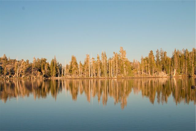 Tranquil Lake with Reflecting Trees Under Clear Sky - Download Free Stock Photos Pikwizard.com