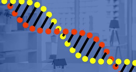 Digital DNA Structure in Modern Office Environment - Download Free Stock Images Pikwizard.com