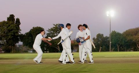 Multicultural cricket teammates celebrating and shaking hands at dusk on grassy pitch