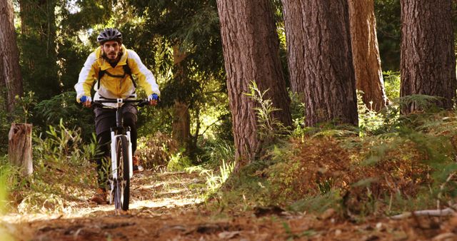 Man Mountain Biking on Forest Trail in Sunlight - Download Free Stock Images Pikwizard.com