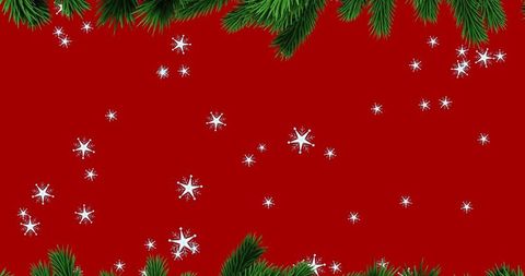 Festive Christmas Tree Branches on Red Holiday Background