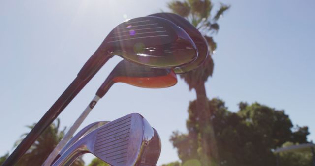 Golf clubs in clear, sunny weather surrounded by palm trees. Perfect for illustrating golfing, outdoor sports, leisure activities, or summer-themed content. Suitable for use in advertisements, magazines, or websites focused on sports, recreation, or vacation destinations.