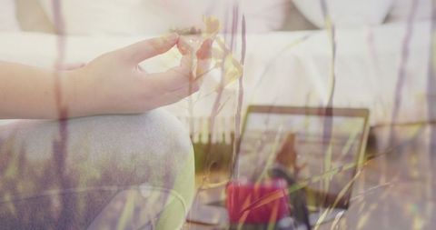 Serenity and Technology Hybridity at Home