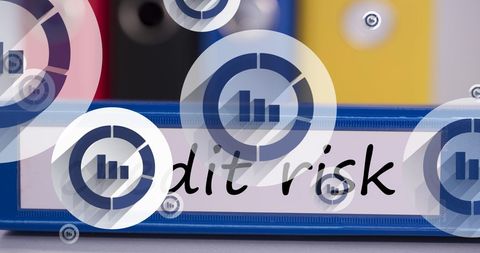 Digital illustrations of credit risk in financial environment