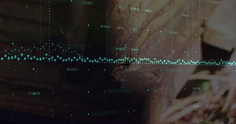 Nature-inspired data visualization on weathered wooden beam