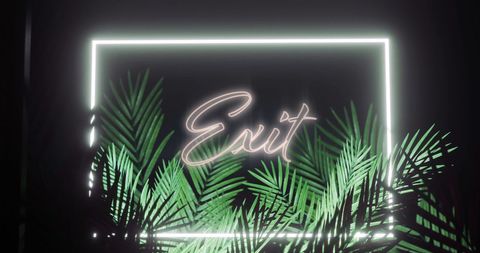 Neon Exit Sign with Palm Leaves on Black Background - Download Free Stock Images Pikwizard.com