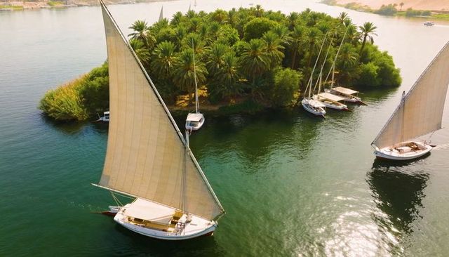 Traditional felucca sailing past lush palm island on nile, hoisting lateen sail