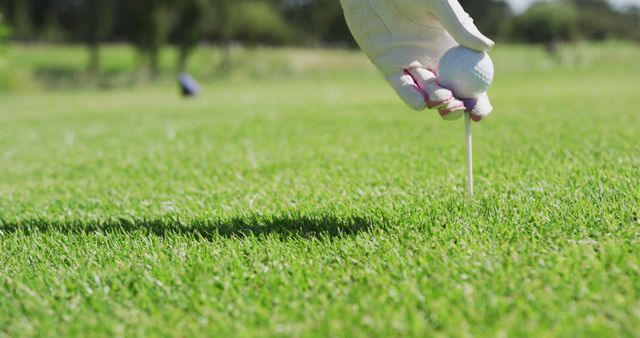 Caucasian woman playing golf putting a ball on a ground - Download Free Stock Photos Pikwizard.com