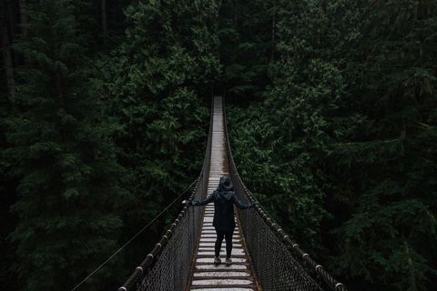 Adventurous Traveler Walking on Suspended Forest Bridge