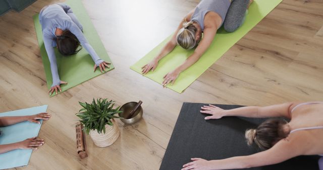 Group of Women Practicing Child's Pose in Yoga Class - Download Free Stock Images Pikwizard.com