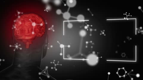 Digital Data Processing and Brain Activity Animation