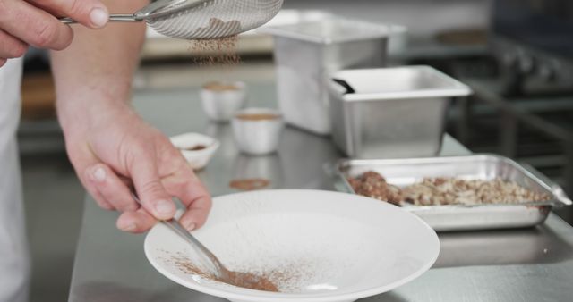 Chef Sprinkling Cocoa Powder on Plate in Professional Kitchen - Download Free Stock Images Pikwizard.com