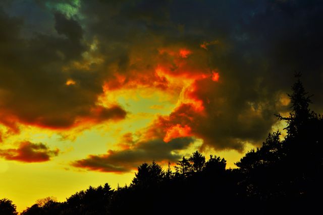 Vibrant sunset sky showcasing dramatic and colorful clouds with silhouetted trees in the foreground. Perfect for use in nature and landscape blogs, travel websites, inspirational content, and backgrounds for presentations.