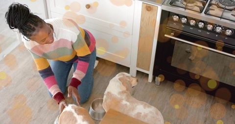 Kneeling woman placing stainless bowls for two dogs in kitchen wearing striped sweater