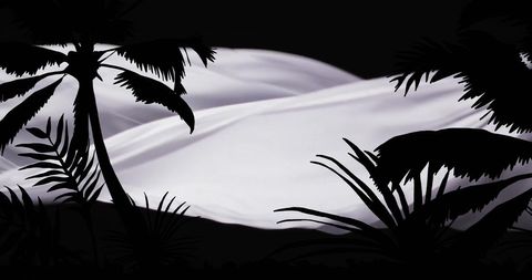 Silhouetted Tropical Palm Trees Against Fabric Flow in Night Scene