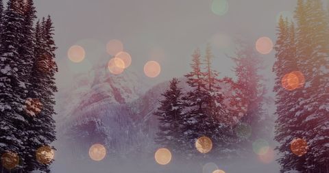 Serene Winter Landscape with Blurred Christmas Lights - Download Free Stock Images Pikwizard.com