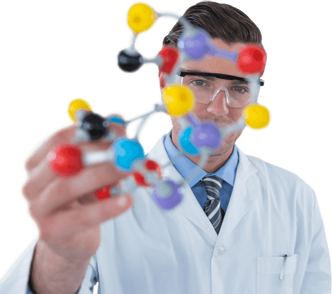 transparent view of scientist analyzing molecular model - Download Free Stock Videos Pikwizard.com