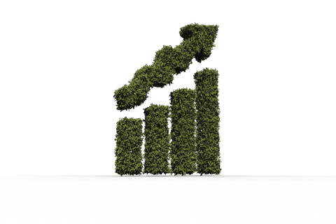 Transparent Bar Chart Shaped from Green Leaves Symbolizing Growth - Download Free Stock Videos Pikwizard.com