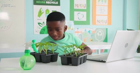 African american boy examining seedlings in classroom with laptop for science learning