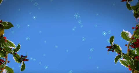 Blue Winter Background with Snowflakes and Holly