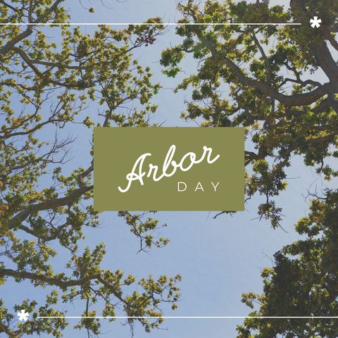 arbor day celebration with scenic tree canopy - Download Free Stock Templates Pikwizard.com
