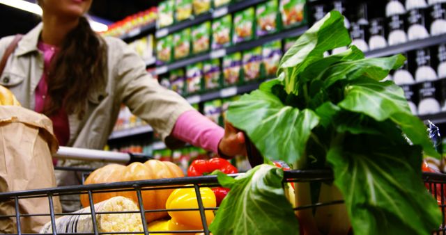 Woman Shopping for Fresh Produce in Grocery Store - Download Free Stock Images Pikwizard.com