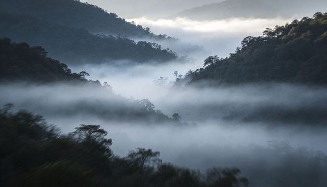 Misty mountain valley with low-lying fog drifting through forested ridges at twilight