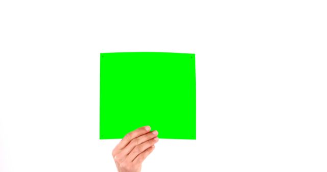 Hand Holding Bright Green Paper Square Isolated on White Background - Download Free Stock Images Pikwizard.com