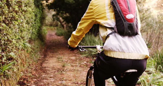 Back view of caucasian cyclist with jacket and backpack, riding on path in forest at sunrise. Sport, hobby, outdoor activities, free time and wellbeing, nature.