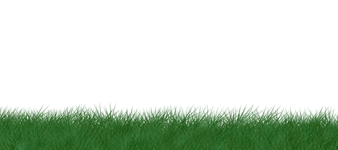 Green Grass on Transparent Background Illustration for Natural Designs - Download Free Stock Videos Pikwizard.com