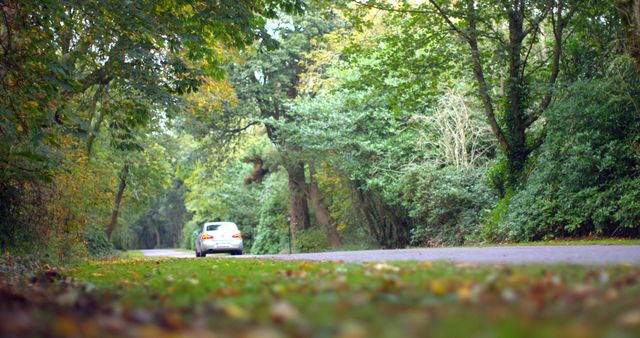 Car driving down a road surrounded by forest in the countryside