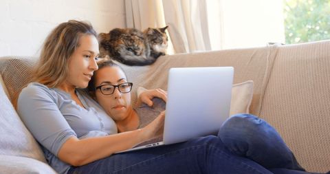 women relaxing on couch with laptop and cat - Download Free Stock Images Pikwizard.com