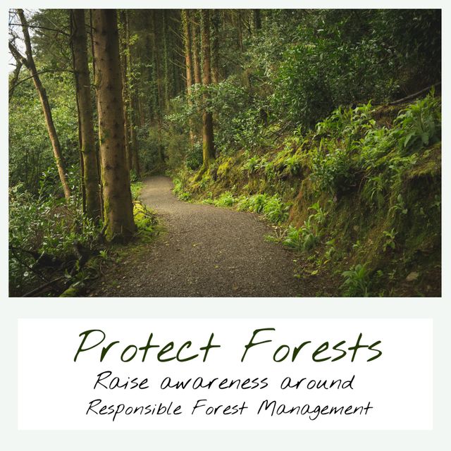 Trail amidst lush trees in forest and raise awareness around responsible forest management text. Composite, protect forests, woodland, nature, awareness, protection and environmental conservation.