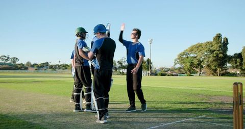 Cricket team celebrating partnership on community pitch during sunny afternoon, high-fiving