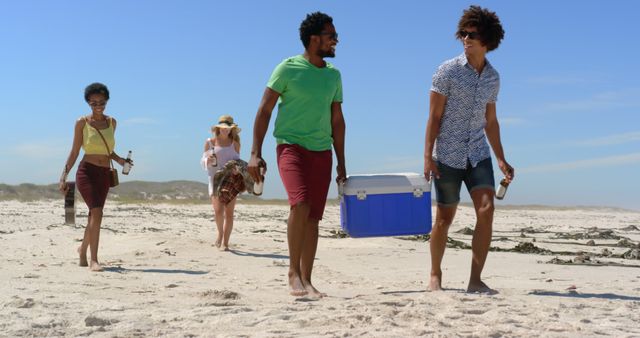 Friends Walking on Beach Carrying Cooler and Drinks - Download Free Stock Images Pikwizard.com