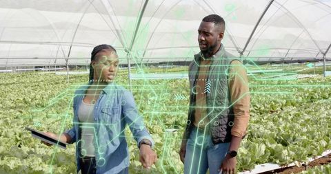 Experts using augmented reality in smart greenhouse farming