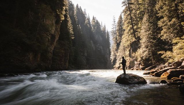 Solitary angler standing on rock in sunlit mountain river canyon with rapid whitewater