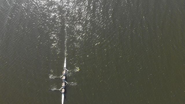 Overhead view capturing four young women synchronously rowing in a racing shell on an open river. This image emphasizes teamwork, coordination, and athleticism in aquatic sports. Ideal for use in promotional material for rowing events, sports teamspiration, or advertisements focused on fitness and team collaboration.